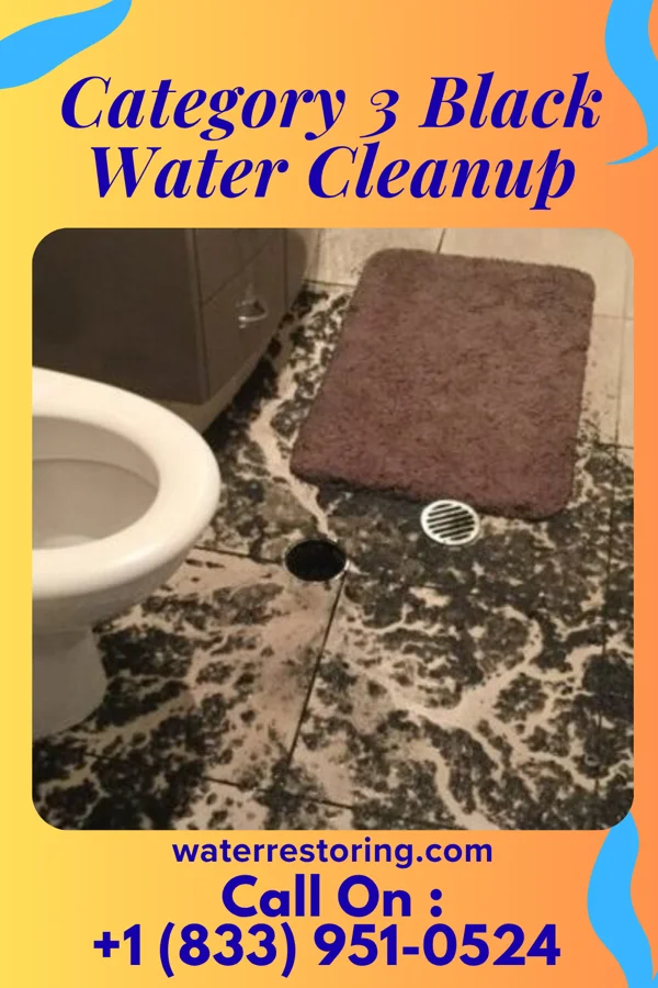 Category 3 Black Water Cleanup in Goodland, KS