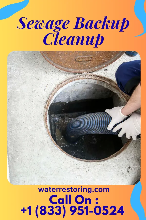 Sewage Backup Cleanup in Goodland, KS